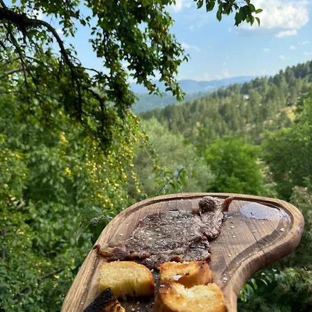 -tsiourgiaka Mpatsilas Group מלון