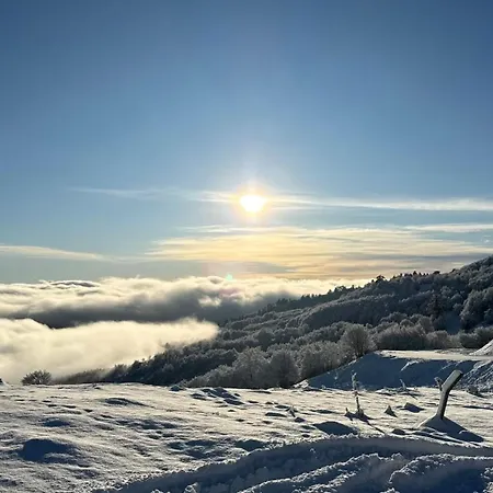 מלון -tsiourgiaka Mpatsilas Group Aetia