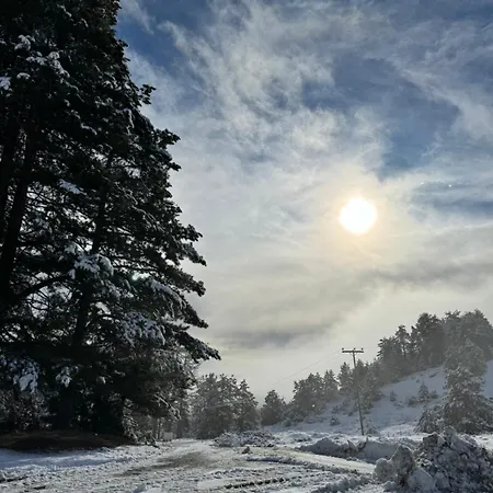 -tsiourgiaka Mpatsilas Group * Aetia